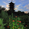 国分寺
