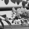 TEST SHOT 20140906