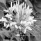 TEST SHOT 20140906