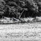 _DSC1162_1