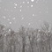 雪・舞い降りる