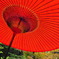 紅葉よりアタシを