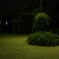 夜・陰影