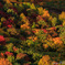20131006-7