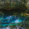 Kaminoko Pond