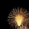 Fire flower