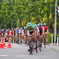 cycle train