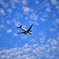 飛行機と雲