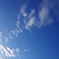 空