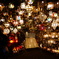 DSC04699