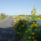 R0012383