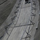 Snap#25 -Walk together-