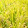 201408_16_1 (2 - 4)