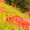 201408_16_1 (3 - 4)