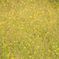 201408_16_1 (4 - 4)