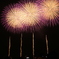 2014年ぎおん柏崎まつり