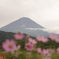 曇りの富士山