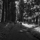 140914s-05288