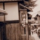 P9150950