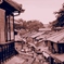 P9150951