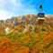 岩の紅葉