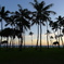 HAWAII