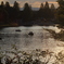 公園の夕方の風景