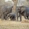 Malawi2009-955