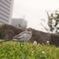 photo_3763841
