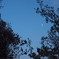 2013年　春　駒場野公園