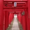 小泉稲荷神社