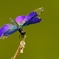 DSC03833-P