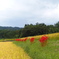 P9180422_edited-1