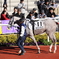 阪神競馬場 12/19