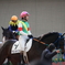 阪神競馬場 12/19