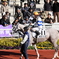 阪神競馬場 12/19