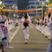 阿波踊り