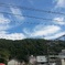 蒼と黒線