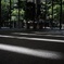 休日の丸の内