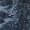 水と風