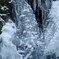 氷上の表情