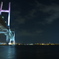 架け橋
