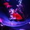 AquaView