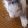 うんしょ。うんしょ。