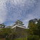 秋の伊賀上野城