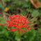 DSC00179