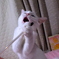 きょうのみゅー