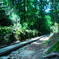 yakushima_5