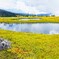 山上の水面