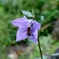 DSCF1940 (2)